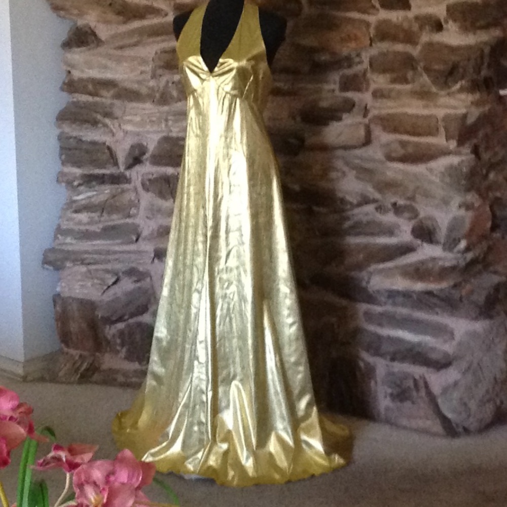 Gold Lame - Picture 2 of 9
